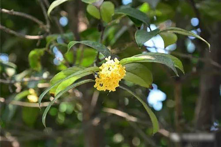 程力風(fēng)采：金秋九月，我在程力等您