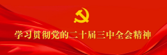 程力汽車集團學習貫徹中央經(jīng)濟工作會議精神